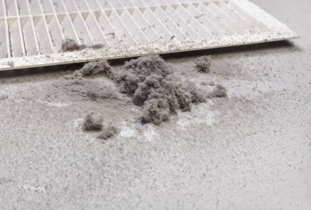 Best Commercial Air Duct Cleaning  in Winnfield, LA
